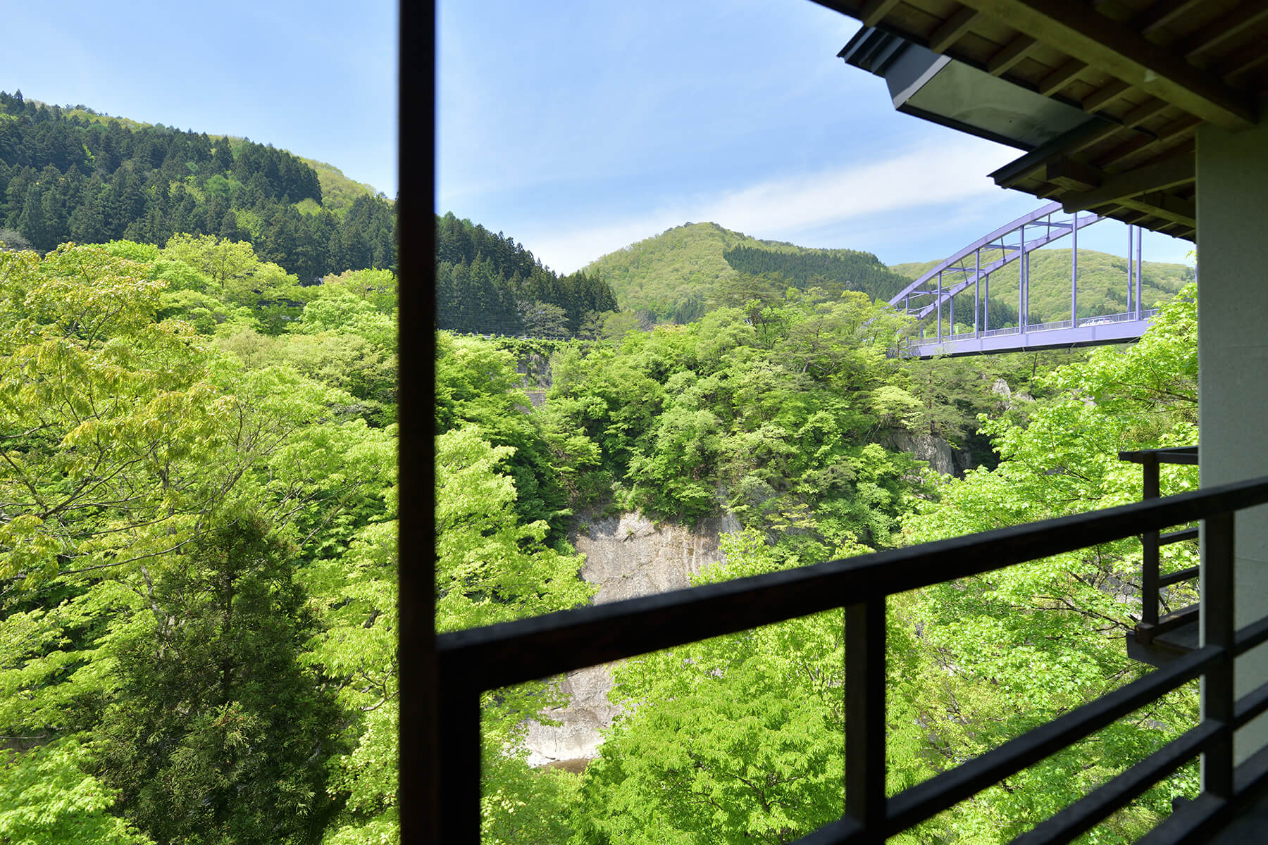 窓からの景色　緑